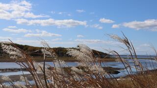 ドライブがとても気持ちいい☆
