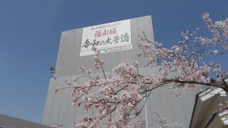 桜は満開でも工事とコロナ禍で閑散