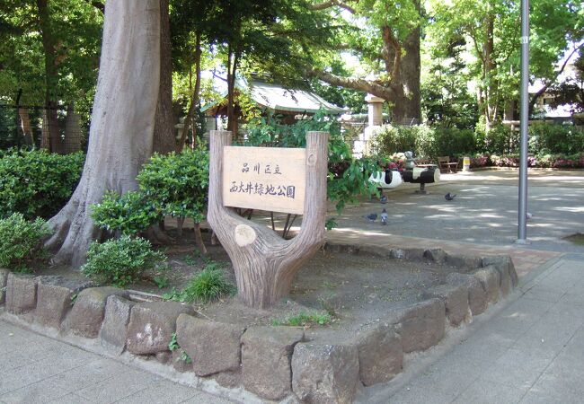 隣の西大井緑地公園から良く見えます