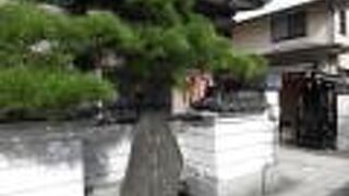 赤い幟端が立っているので見つけやすいと思います