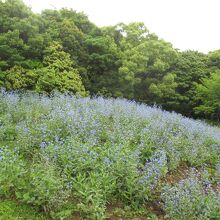 空の公園 空の展望所