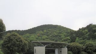 この辺りでは１番高い山だと思います。