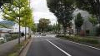 街路樹があるきれいな通り