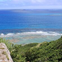 公園から見下ろした海