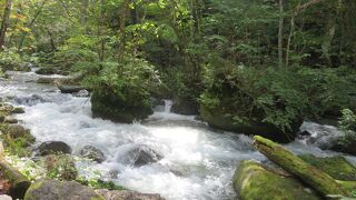 ３時間弱で歩けました。