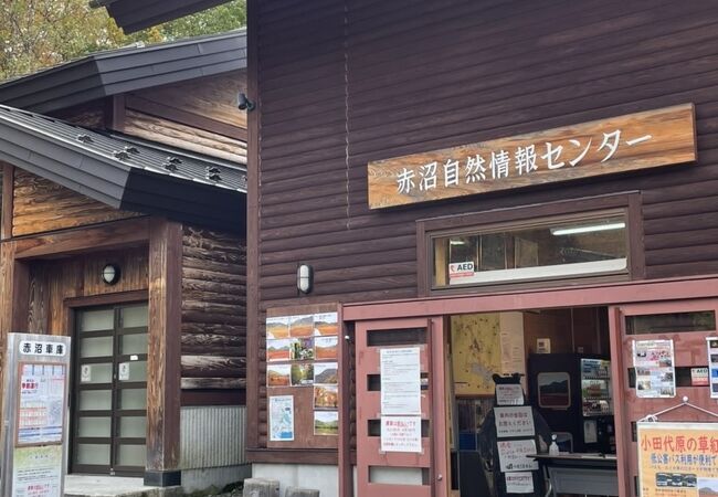 クマ情報あり