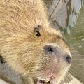 広くてキレイな動植物園♪