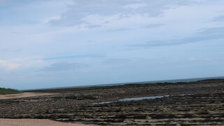 自然が作り出した造形美