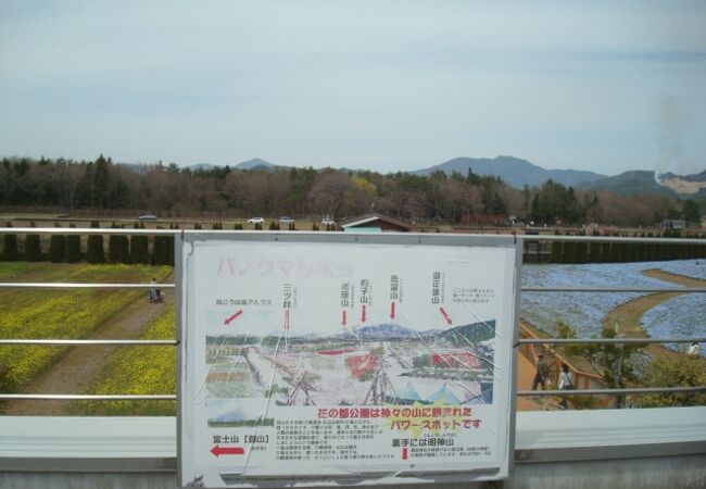 山中湖花の都公園フローラルドームふらら