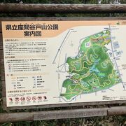 森の中の大きな公園