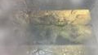 意外な遺構でした