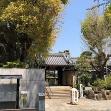 東光院 萩の寺