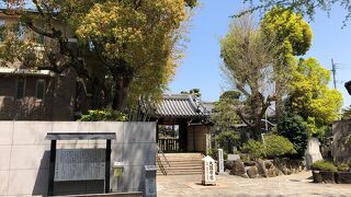東光院 萩の寺