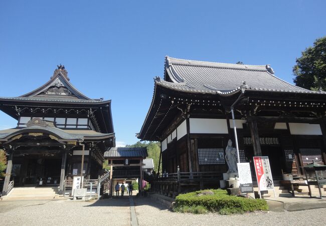 関善光寺 クチコミ アクセス 営業時間 関 フォートラベル