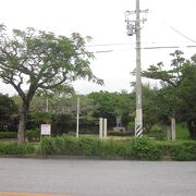 自然豊な公園