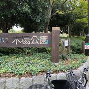 とても広い公園です。