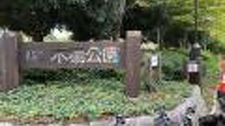 とても広い公園です。