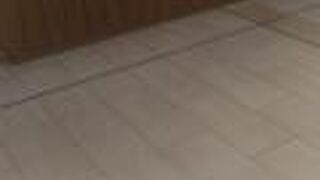 都会の中のオアシスです