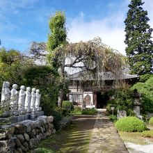 延命山 菊水寺 (札所三十三番)