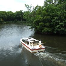 随時出港のモーターボートは便利です