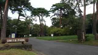 大宮の大きな公園