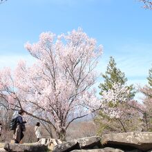 いつ来ても、その時々の良き景色に出会えますよ。