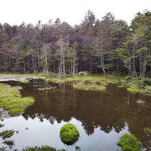 麦草峠