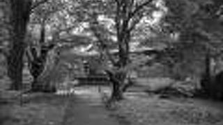 小諸駅のすぐ近くにある、有名な城址公園。いつきても絵になる風景ばかりです。