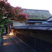 福井藩主松平家の別邸跡の庭園