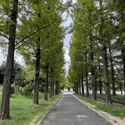 広大な公園です