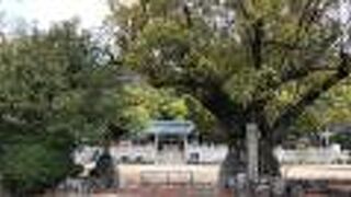 葺田(福田)八幡神社