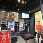 大谷翔平選手　使用モデル