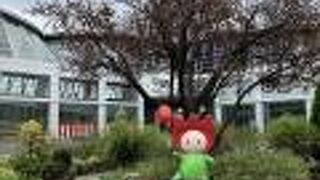 花博記念公園 鶴見緑地 クチコミ アクセス 営業時間 鶴見 城東 フォートラベル 花博記念公園 鶴見緑地 クチコミ アクセス 営業時間 鶴見 城東 フォートラベル