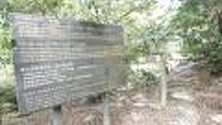 帰り道で歩いたコース