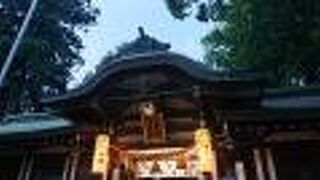 境内は、紙吹雪で一杯でした