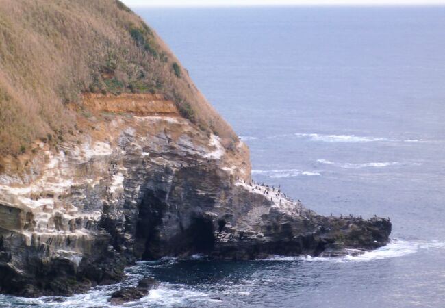 赤羽根海岸