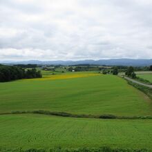 北西の丘展望公園