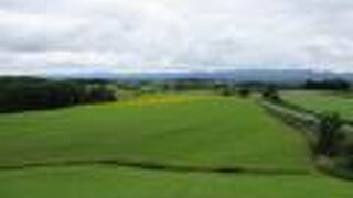 上に登れました