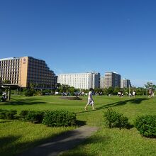 広々した公園です