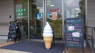 静岡のお土産品がたくさん買えました