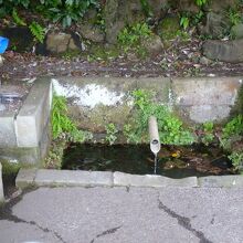 チョロチョロと出ています