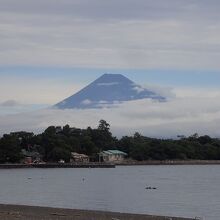 大瀬崎からの富士