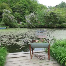 池のある広いガーデン