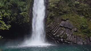 わさびが売っていました