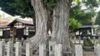 木の中にお地蔵様が安置されている