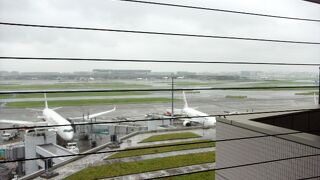 曇っていたけど