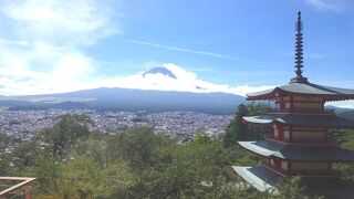 桜の季節は大変そうですーーー