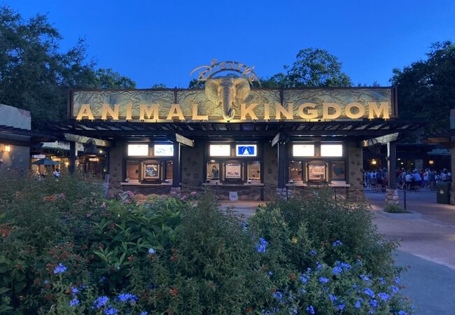 ディズニーズ アニマル キングダム テーマパーク クチコミ アクセス 営業時間 オーランド フォートラベル