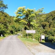 広い駐車場とよく整備されたキャンプ場