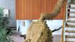 約10mのワラで作った大蛇を道の駅川口あんぎょうで展示されていました